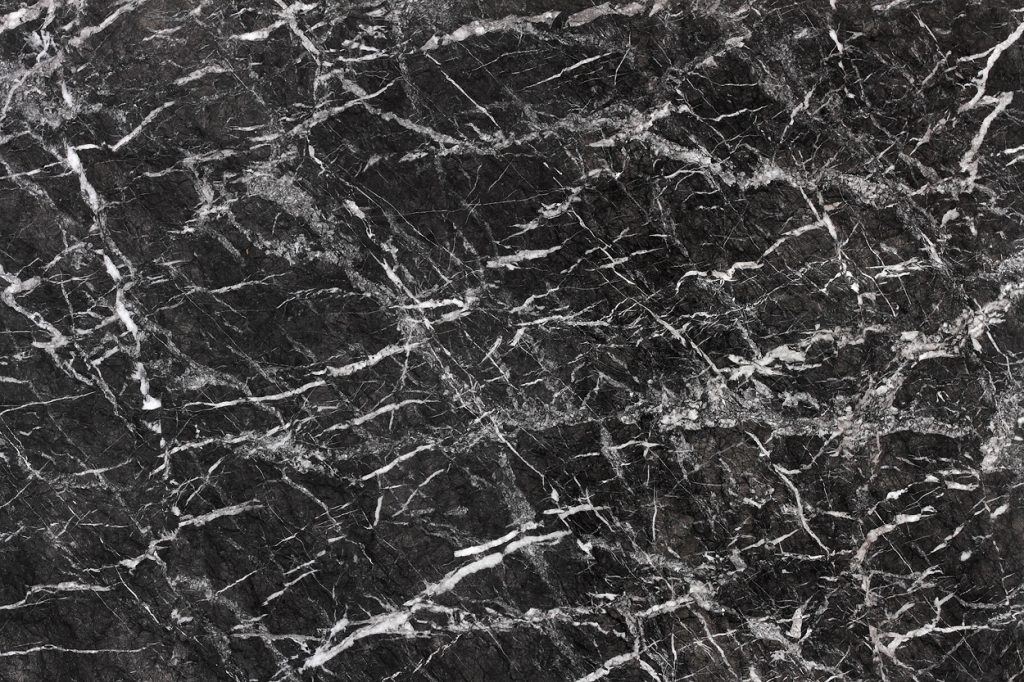 Grey Carnico