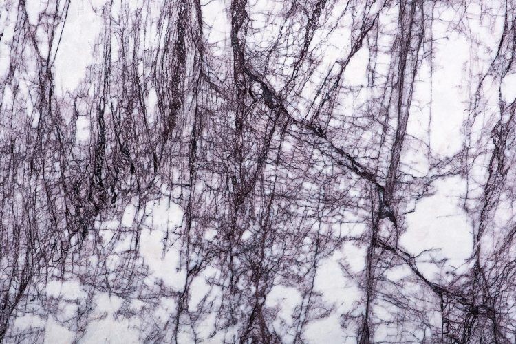 Lilac White
