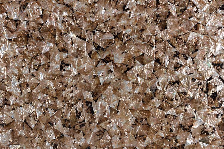 Mother Of Pearl Bronze