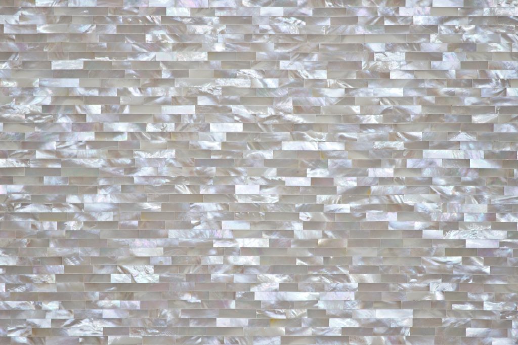Oyster Mother of Pearl