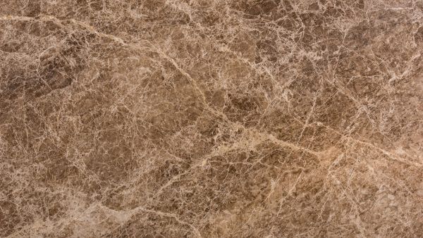Spider Beige