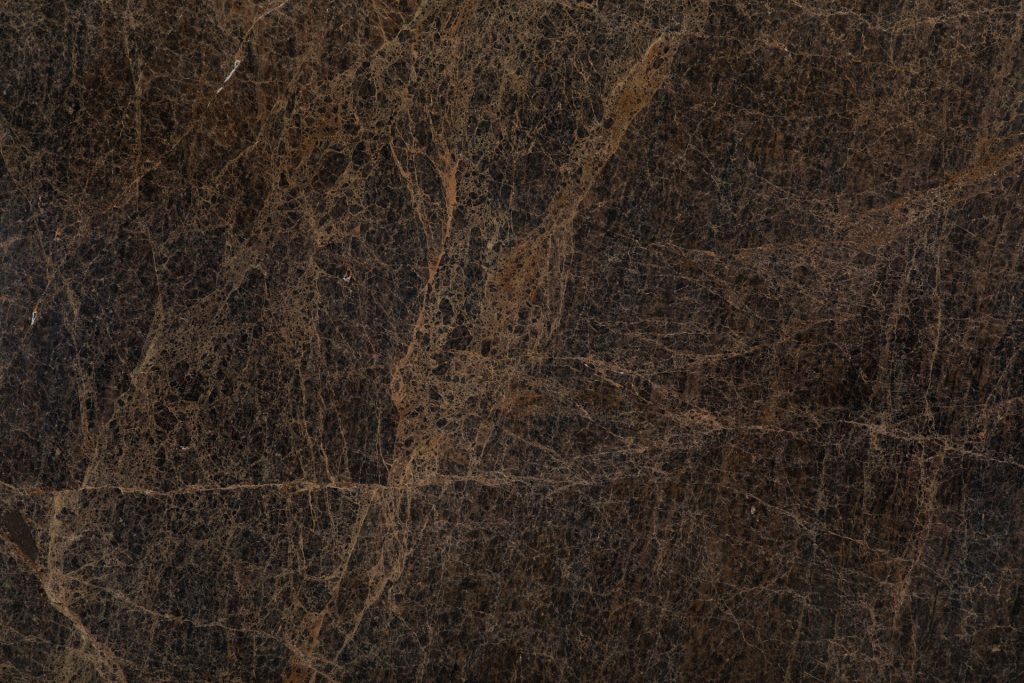 Spider Brown